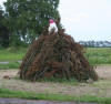 Sankt Hans 2001 i Ørsø (6)